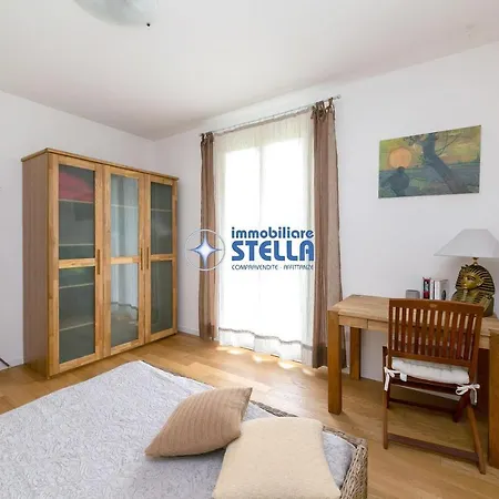 Stella